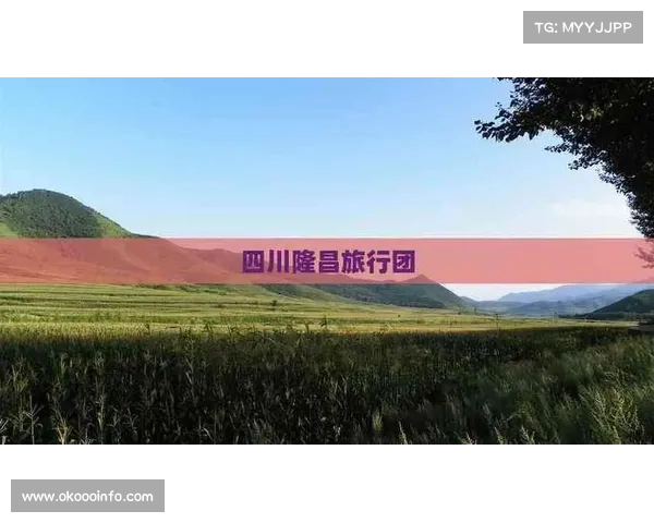 隆昌赛事带动旅游消费增长40%，酒店入住率显著提升